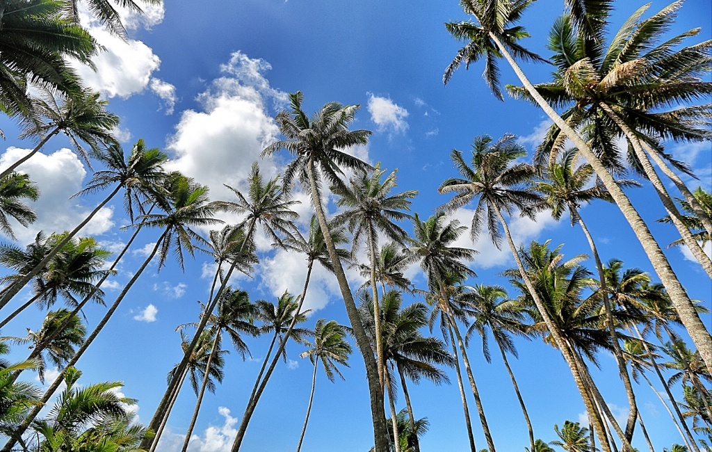 An Escape to Paradise in Fiji Islands by JetBlogger Jensen Chua