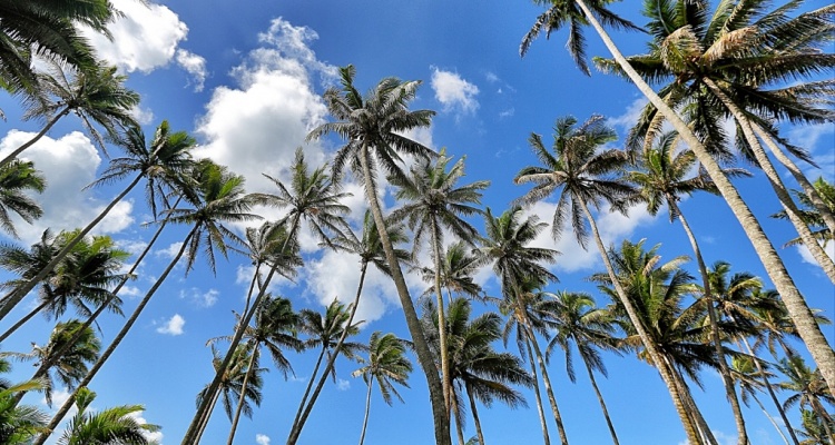 An Escape to Paradise in Fiji Islands by JetBlogger Jensen Chua