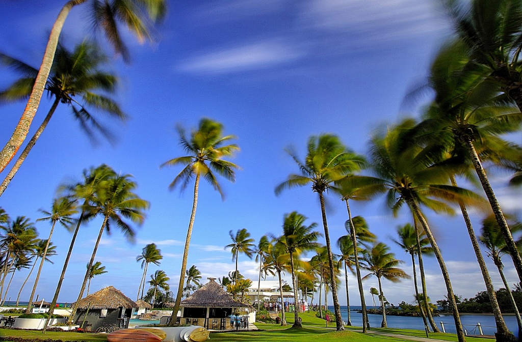 Escape to Paradise - Fiji Islands by Jensen Chua Photography 