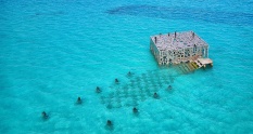 Some useful tips droning in the Maldives