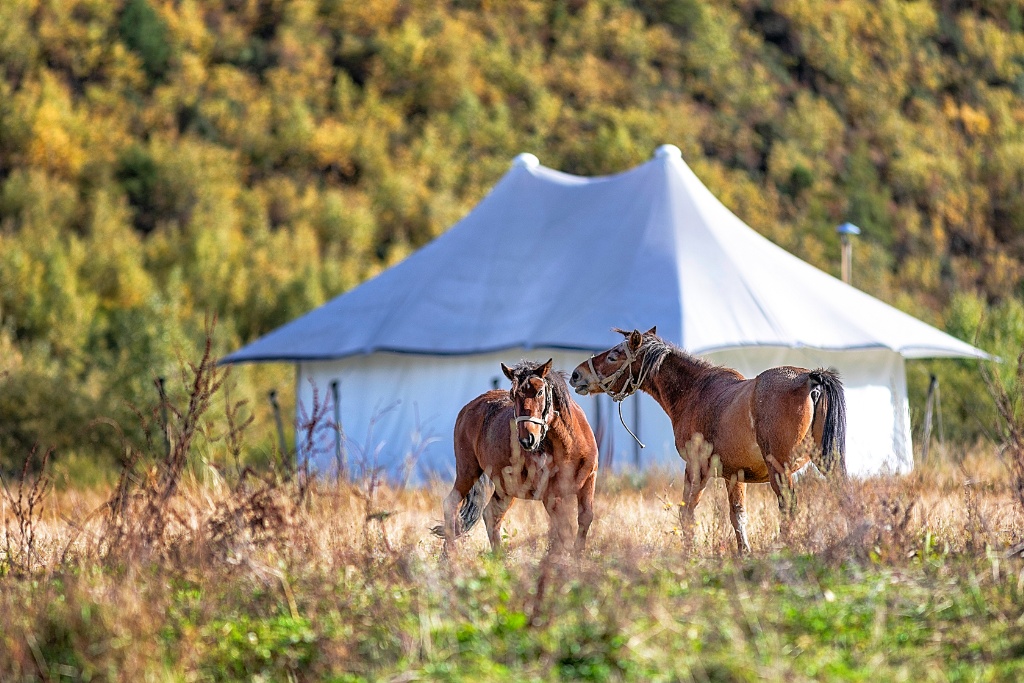 The Hidden Valley Resort – Shangri-La’s Best Kept Secret