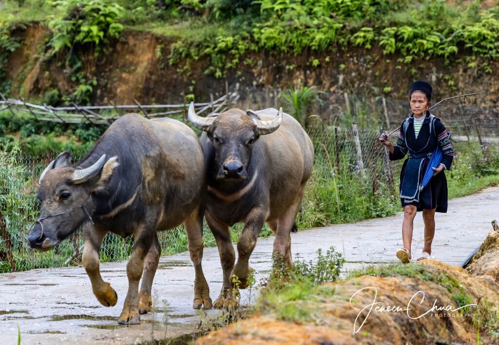 Sapa - a Highland Adventure
