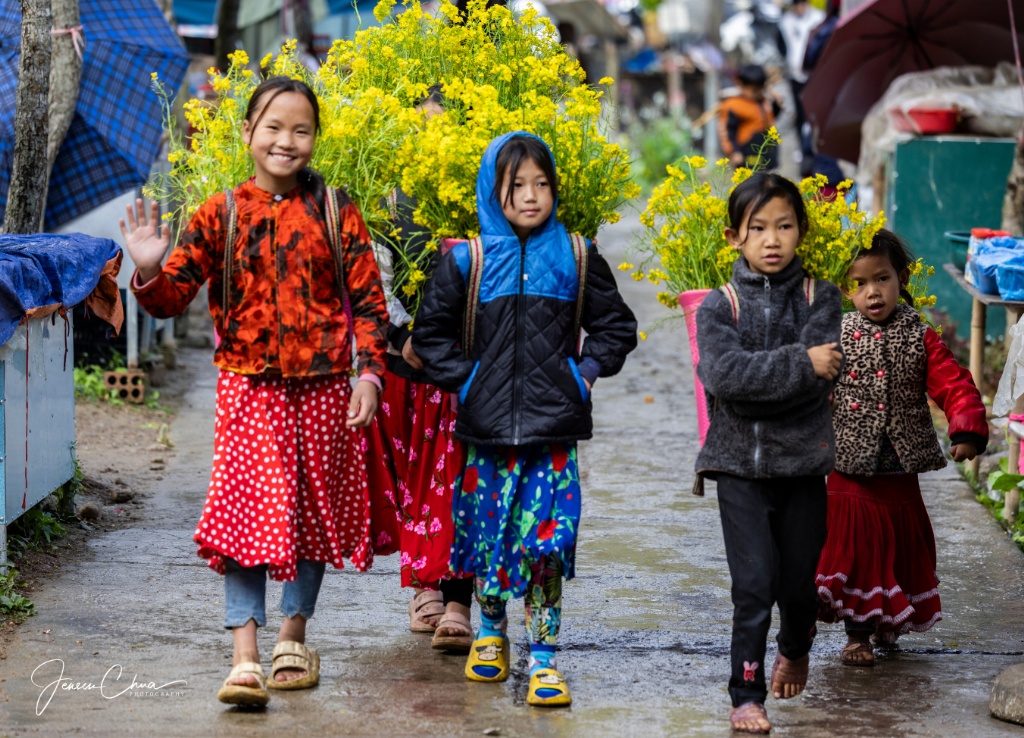 Ha Giang Loop by Private Car Tour