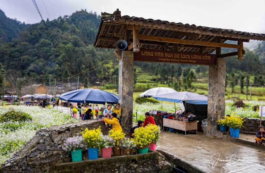 Ha Giang Loop by Private Car Tour