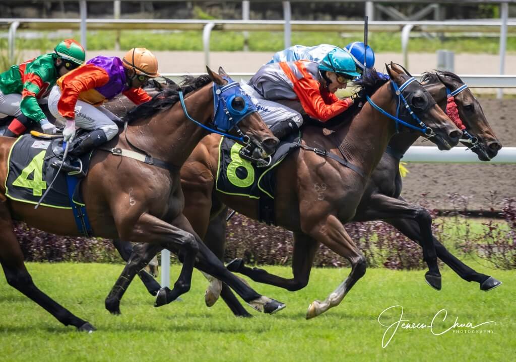 Queen Elizabeth II Cup 2024