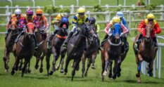 Queen Elizabeth II Cup 2024