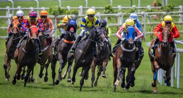 Queen Elizabeth II Cup 2024