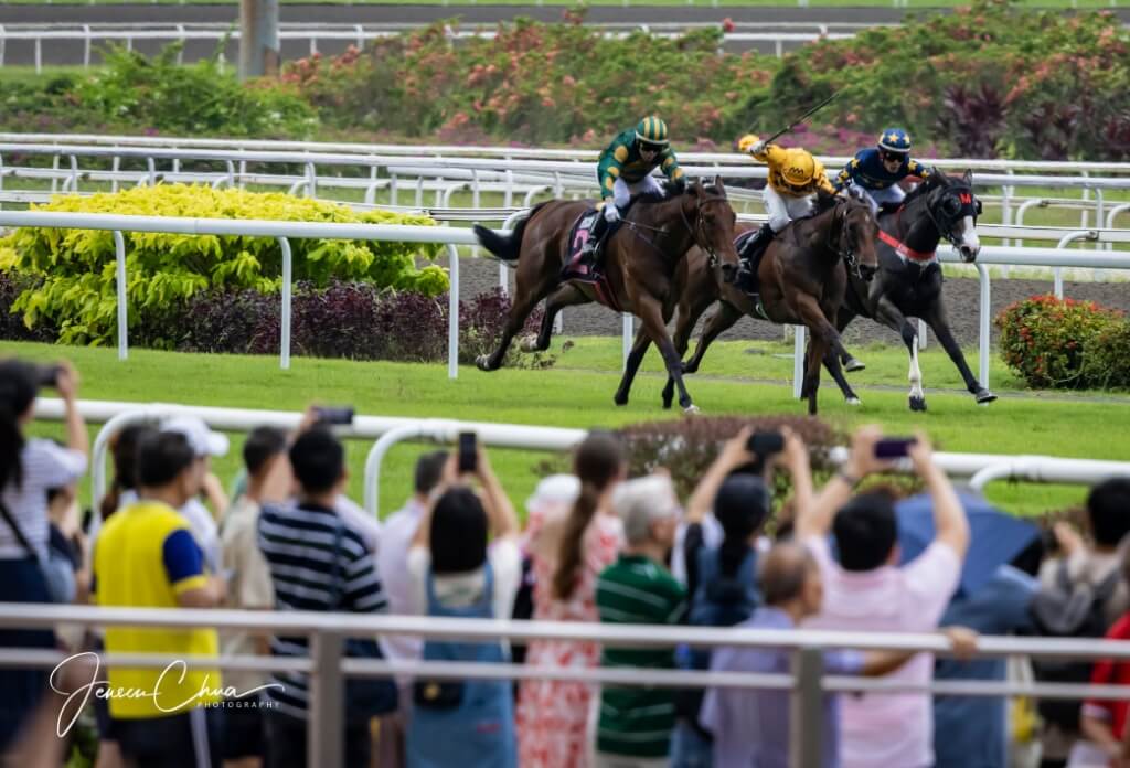 Queen Elizabeth II Cup 2024